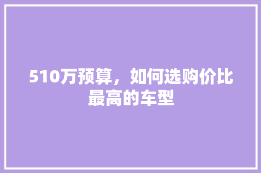 510万预算，如何选购价比最高的车型