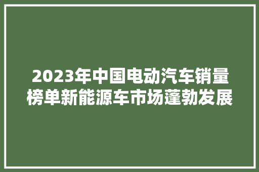 2023年中国电动汽车销量榜单新能源车市场蓬勃发展  第1张