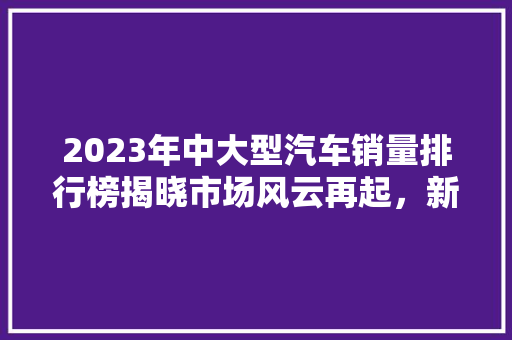 2023年中大型汽车销量排行榜揭晓市场风云再起，新势力崛起