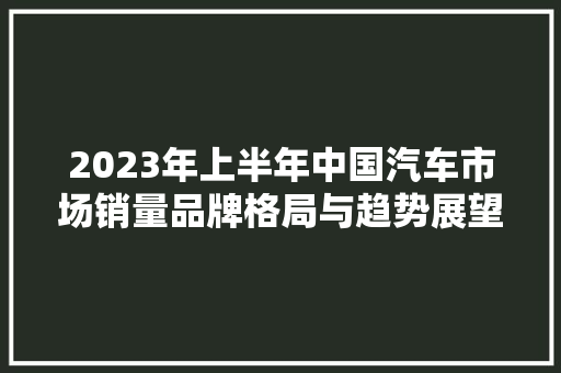2023年上半年中国汽车市场销量品牌格局与趋势展望  第1张