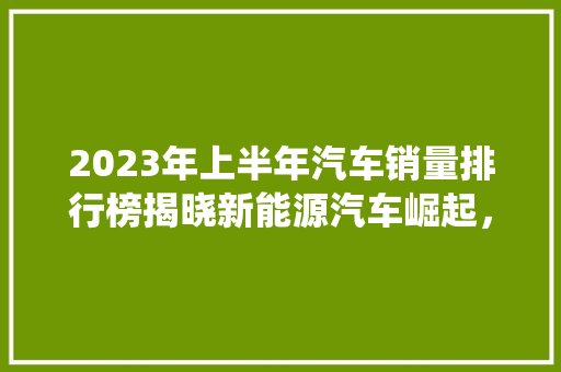 2023年上半年汽车销量排行榜揭晓新能源汽车崛起，传统燃油车面临挑战