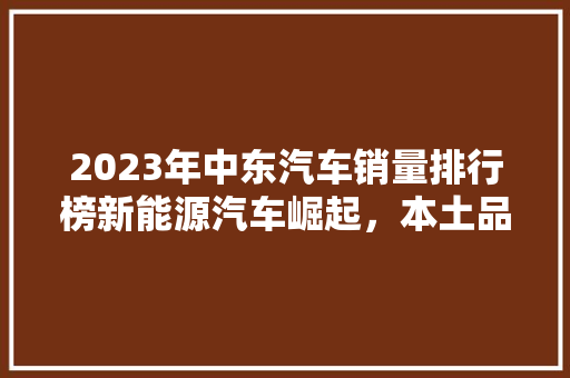 2023年中东汽车销量排行榜新能源汽车崛起，本土品牌崭露头角  第1张