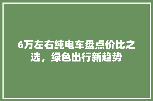 6万左右纯电车盘点价比之选，绿色出行新趋势