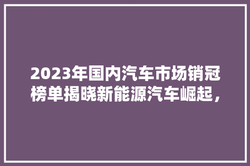 2023年国内汽车市场销冠榜单揭晓新能源汽车崛起，合资品牌仍占据半壁江山  第1张