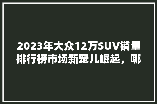 2023年大众12万SUV销量排行榜市场新宠儿崛起，哪些车型领跑潮流  第1张