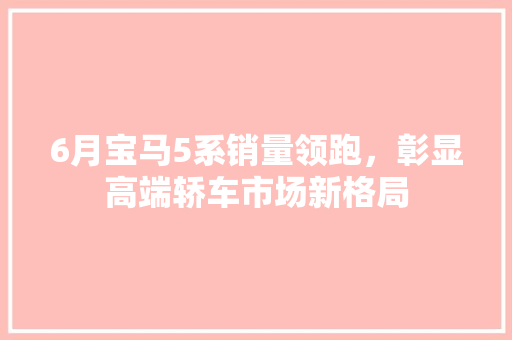 6月宝马5系销量领跑，彰显高端轿车市场新格局