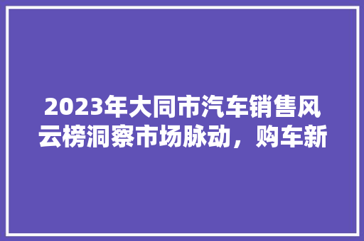 2023年大同市汽车销售风云榜洞察市场脉动，购车新趋势  第1张
