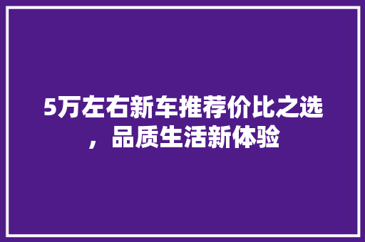5万左右新车推荐价比之选，品质生活新体验
