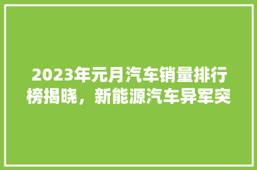 2023年元月汽车销量排行榜揭晓，新能源汽车异军突起，传统车企面临挑战  第1张