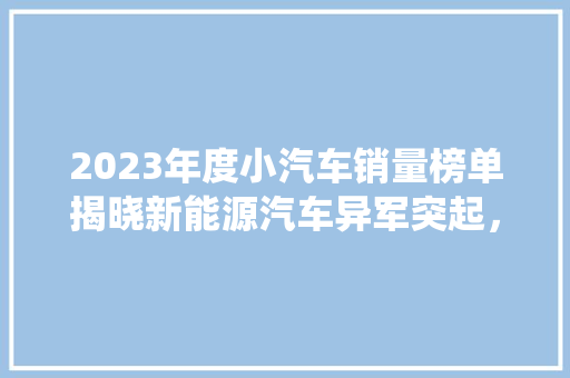 2023年度小汽车销量榜单揭晓新能源汽车异军突起，传统车企面临挑战