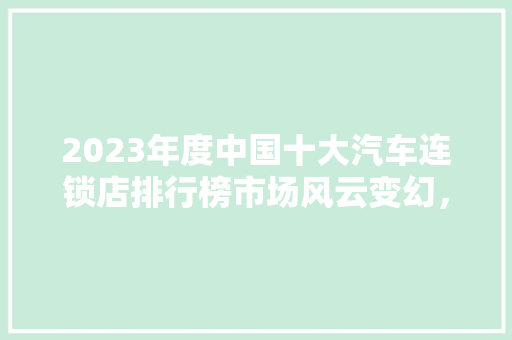 2023年度中国十大汽车连锁店排行榜市场风云变幻，谁主沉浮