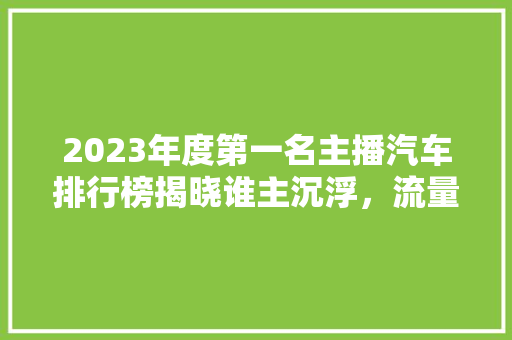 2023年度第一名主播汽车排行榜揭晓谁主沉浮，流量密码  第1张