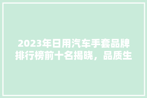 2023年日用汽车手套品牌排行榜前十名揭晓，品质生活从细节开始  第1张