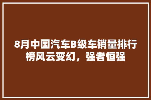 8月中国汽车B级车销量排行榜风云变幻，强者恒强