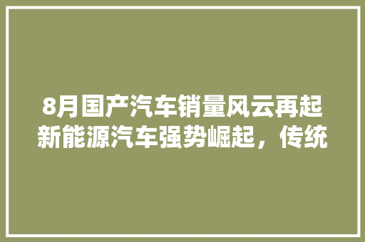 8月国产汽车销量风云再起新能源汽车强势崛起，传统燃油车稳扎稳打  第1张
