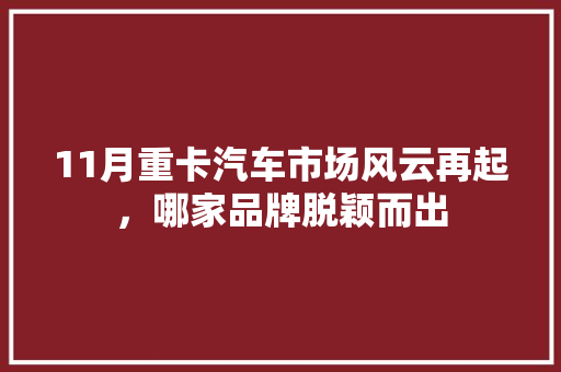11月重卡汽车市场风云再起，哪家品牌脱颖而出  第1张