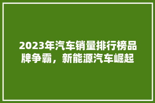 2023年汽车销量排行榜品牌争霸，新能源汽车崛起  第1张