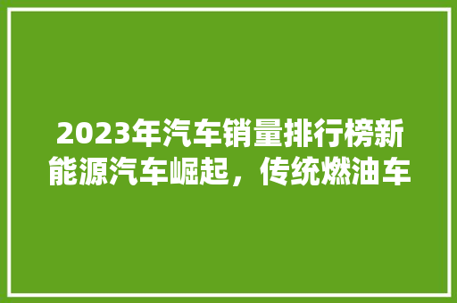 2023年汽车销量排行榜新能源汽车崛起，传统燃油车面临挑战  第1张