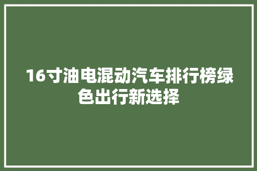 16寸油电混动汽车排行榜绿色出行新选择