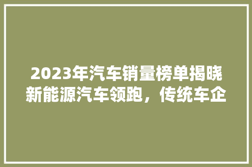 2023年汽车销量榜单揭晓新能源汽车领跑，传统车企积极转型  第1张