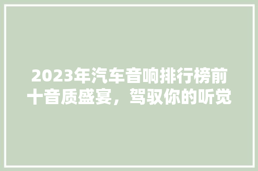 2023年汽车音响排行榜前十音质盛宴，驾驭你的听觉之旅