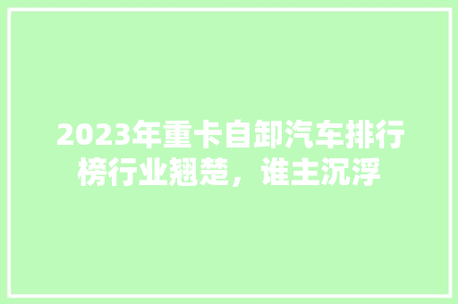 2023年重卡自卸汽车排行榜行业翘楚，谁主沉浮