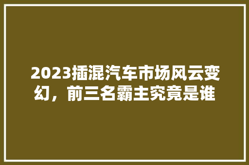 2023插混汽车市场风云变幻，前三名霸主究竟是谁  第1张