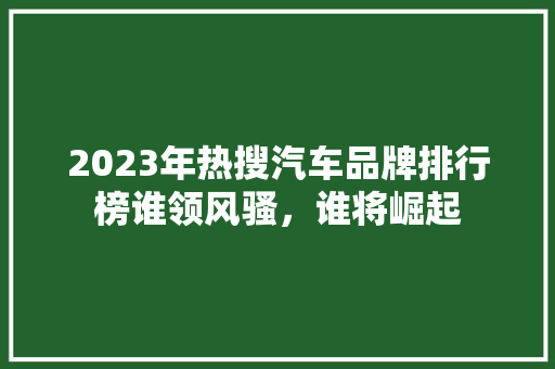 2023年热搜汽车品牌排行榜谁领风骚，谁将崛起  第1张