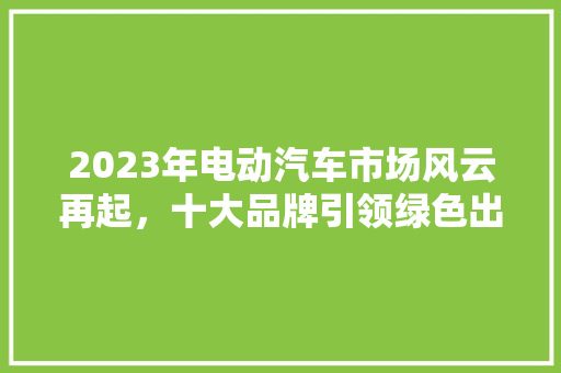 2023年电动汽车市场风云再起，十大品牌引领绿色出行新时代  第1张