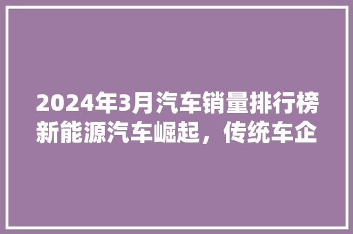 2024年3月汽车销量排行榜新能源汽车崛起，传统车企面临挑战  第1张