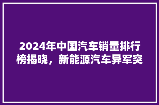 2024年中国汽车销量排行榜揭晓，新能源汽车异军突起，传统车企面临挑战  第1张