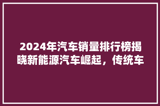 2024年汽车销量排行榜揭晓新能源汽车崛起，传统车企面临挑战  第1张