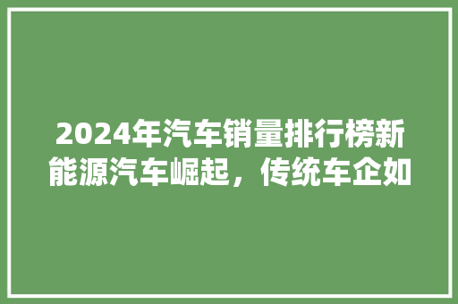 2024年汽车销量排行榜新能源汽车崛起，传统车企如何应对  第1张