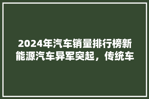 2024年汽车销量排行榜新能源汽车异军突起，传统车企面临挑战