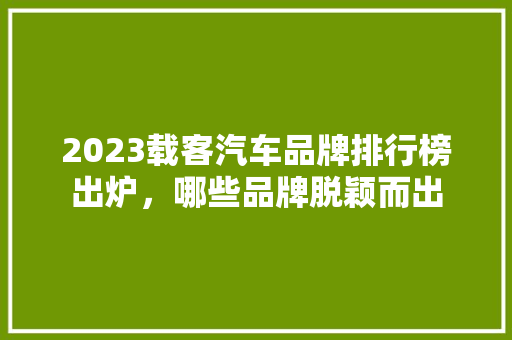 2023载客汽车品牌排行榜出炉，哪些品牌脱颖而出  第1张