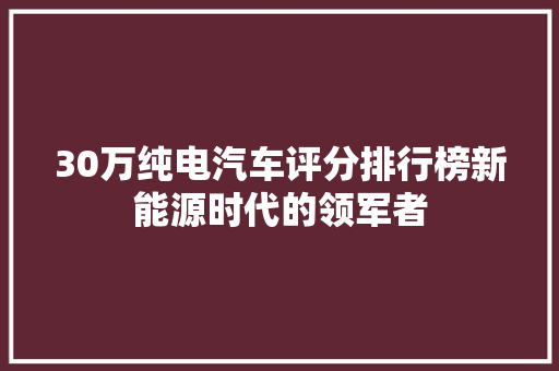 30万纯电汽车评分排行榜新能源时代的领军者