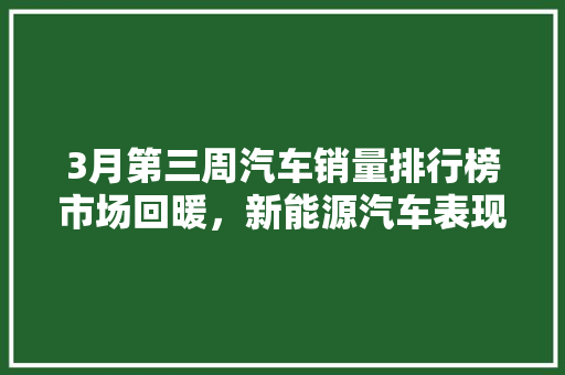 3月第三周汽车销量排行榜市场回暖，新能源汽车表现抢眼