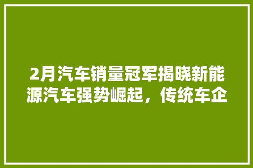 2月汽车销量冠军揭晓新能源汽车强势崛起，传统车企面临挑战  第1张