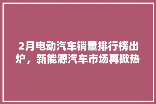 2月电动汽车销量排行榜出炉，新能源汽车市场再掀热潮  第1张