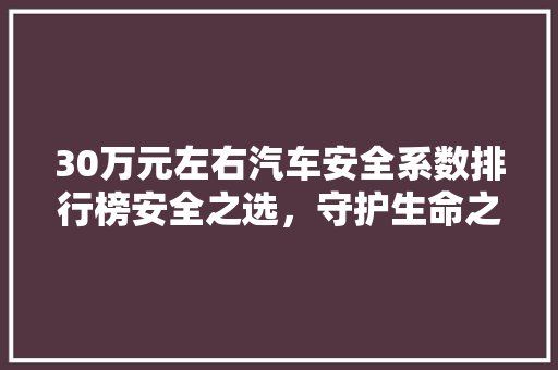 30万元左右汽车安全系数排行榜安全之选，守护生命之旅