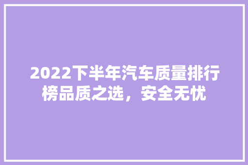 2022下半年汽车质量排行榜品质之选，安全无忧