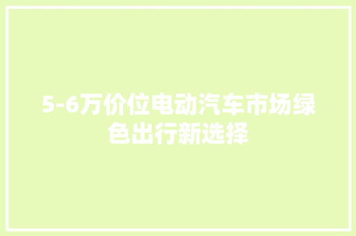 5-6万价位电动汽车市场绿色出行新选择
