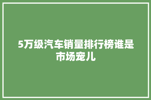 5万级汽车销量排行榜谁是市场宠儿  第1张