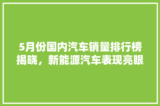 5月份国内汽车销量排行榜揭晓，新能源汽车表现亮眼  第1张