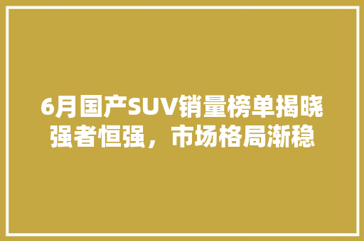 6月国产SUV销量榜单揭晓强者恒强，市场格局渐稳