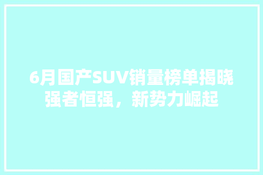 6月国产SUV销量榜单揭晓强者恒强，新势力崛起