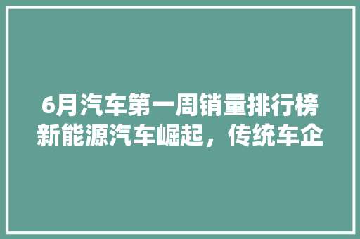 6月汽车第一周销量排行榜新能源汽车崛起，传统车企面临挑战