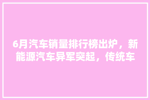 6月汽车销量排行榜出炉，新能源汽车异军突起，传统车企面临挑战  第1张