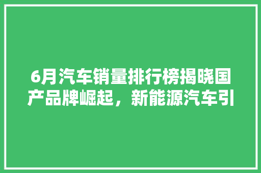 6月汽车销量排行榜揭晓国产品牌崛起，新能源汽车引领潮流  第1张