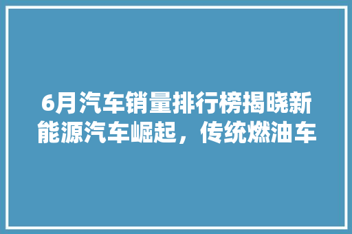 6月汽车销量排行榜揭晓新能源汽车崛起，传统燃油车面临挑战